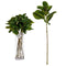 Tak Lakens 80 cm Groen Plastic (12 Stuks)