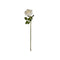 Decoratieve Bloem Wit Papier Plastic (12 Stuks)