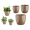 Pottenset Bruin Klei (3 Onderdelen) (22,5 x 18,5 x 22,5 cm)