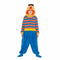 Kostuums voor Kinderen My Other Me Epi Sesame Street Maat 5-6 Jaar