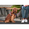 Hondentuigje Red Dingo Dingo 30-47 cm 37-52 cm Paars S