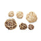Set of Decorative Balls Bruin Wit (12 Stuks)