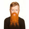 False facial hair My Other Me Oranje