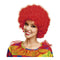 Pruik My Other Me Rood Krullen