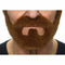 False facial hair My Other Me Bruin Één maat