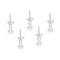 Punaises Transparant Metaal Plastic (24 Stuks)