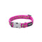 Hondenhalsband Red Dingo STYLE STARS LIME ON HOT PINK 15 mm x 24-36 cm