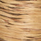 Vaas Natuurlijk Natuurlijke Vezel 26 x 26 x 60 cm