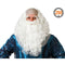 Pruik met Baard Tovenaar Wit