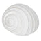 Decoratieve figuren Wit Schelp 11 x 9 x 8 cm