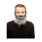 Valse baard My Other Me Grijs Snor