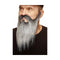 Valse baard My Other Me Grijs