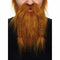 Valse baard My Other Me Oranje