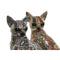 Decoratieve figuren Home ESPRIT Multicolour Hond Mediterrane 12 x 10 x 16 cm (2 Stuks)