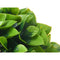 Decoratieve plant Plastic (6 Stuks)