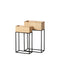 Plantenbakkenset Zwart Natuurlijk Ijzer 50 x 25 x 80 cm (2 Stuks)