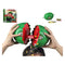 Educatief Spel Watermelon Crush (27 x 27 cm)