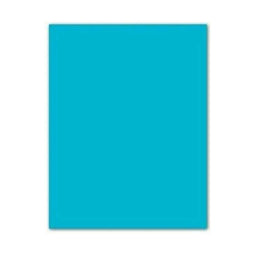 Fiches Iris Turkoois 50 x 65 cm