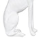 Decoratieve figuren Wit Hond 19 x 12 x 37,5 cm