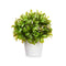 Decoratieve plant Plastic 17 x 17 cm (6 Stuks)