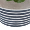 Decoratieve plant Cement PEVA Lakens 11,5 x 11,5 x 39 cm