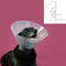 Lampenkap voor honden KVP Betsy Transparant (63-78 cm)