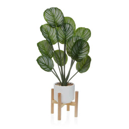 Decoratieve plant Versa Hout Metaal Keramisch polyestyreen Plastic 33 x 61 x 38 cm