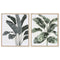 Schilderij Home ESPRIT Blad van een plant Scandinavisch 52,8 x 2,5 x 62,8 cm (2 Stuks)