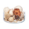 Decorative Potpourri Wit Bruin 19 x 40 x 14 cm (8 Stuks)