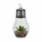 Lantaarn Slingers Gloeilamp Cactus Kristal (8 Stuks)