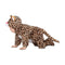 Kostuums voor Baby's My Other Me Luipaard (4 Onderdelen) Maat 7-12 Maanden
