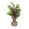 Decoratieve plant Versa Linnen Metaal Plastic Cement 13 x 30 x 13 cm