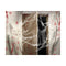Spinneweb Halloween 200 g Wit Multicolour