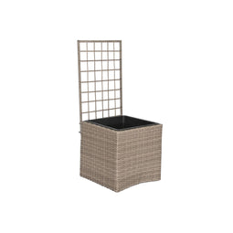 Grondlegger Home ESPRIT Polypropyleen Rotan 48 x 52 x 114 cm