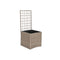 Grondlegger Home ESPRIT Polypropyleen Rotan 48 x 52 x 114 cm