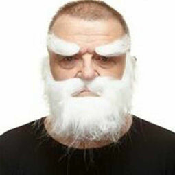 Valse baard My Other Me Wit