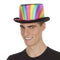 Hoge hoed My Other Me Regenboog Één maat
