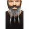 Valse baard My Other Me Grijs