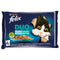 Felix Fantastic Duo- zwarte kabeljauw, zalm, haring, forel, zalm, sardines, forel, makreel in gel...