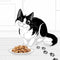 Felix sensations Duo met rundvlees en tomaten in gelei - natvoer voor katten - 85g