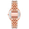 Horloge Dames Nine West NW_2660SVRG