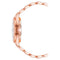 Horloge Dames Nine West NW_2660SVRG