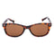 Zonnebril Heren Converse SCO09152TORT Ø 52 mm