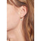 Oorbellen Dames Tommy Hilfiger Roestvrij staal 2 cm