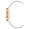 Horloge Dames Nine West NW_2669GYRT