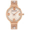 Horloge Dames Police PL-16031MS Kleur Zilverkleurig