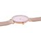 Horloge Dames Pierre Cardin CBV-1055