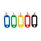 Sleutelhanger Apli Label Multicolour 100 Stuks 100 Onderdelen