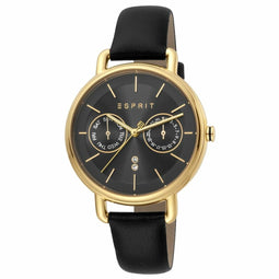 Horloge Dames Esprit ES1L179L0045