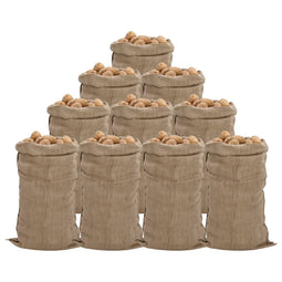 Jutezakken 10 stuks 340 g/m 65x135 cm 100% jute